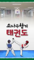 소나무향기태권도(대전 태평동) poster