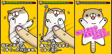 Joke cat
