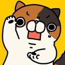 Surprised cat APK