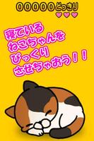 どっきりねこ〜かわいい猫アプリ〜 постер