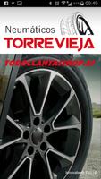 Neumáticos Torrevieja 스크린샷 3