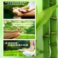 Yoga Asanas