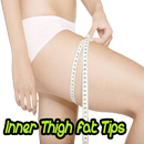 Inner Thigh Fat Tips APK