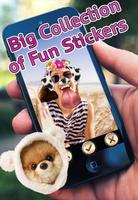 Snap Sticker Filter Dogy Maker poster