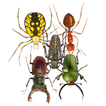 Insect Smasher