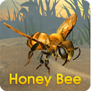 Honey Bee Simulator-APK