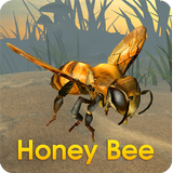 Honey Bee Simulator