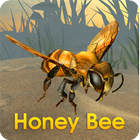 Honey Bee icon