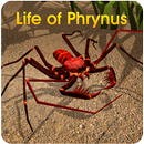 Life of Phrynus - Whip Spider-APK