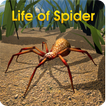 ”Life of Spider
