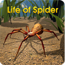 Life of Spider-APK