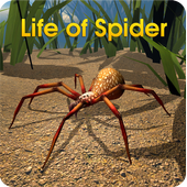 Life of Spider ikona
