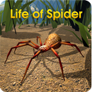 Life of Spider APK