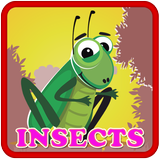 Insect & Bug Kids Puzzle آئیکن