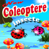 Insecte Coleoptere APK