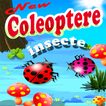 Insecte Coleoptere