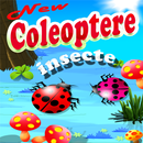 Insecte Coleoptere APK