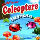 Insecte Coleoptere आइकन