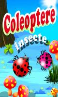 Insecte Coleoptere Affiche