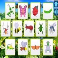 Insect Memory Game For Kids poster