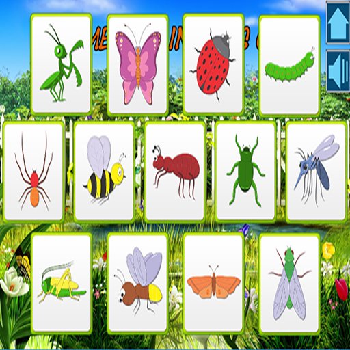 Games About Insect Insect Memory Game For Kids APK for Android Download
