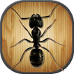 Insect Smasher Ant Killer game