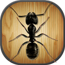 Insect Smasher Ant Killer game APK