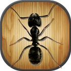Insect Smasher Ant Killer game icono