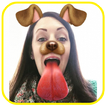 Snap Doggy Face Editor