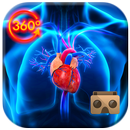 VR 360 Inside Human Body 3D Atlas ( Anatomy ) APK