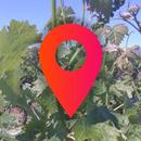 Green Vine Wine Insider APK