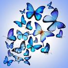 Butterfly Lock Screen simgesi