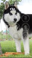 1 Schermata Siberian Husky Dog Wallpapers