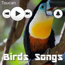 Bird Sounds Collection APK