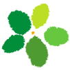LPBM APK