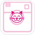 Instacat