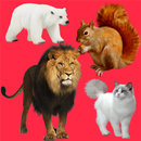 Real Animals Kids APK