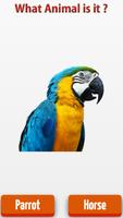 Real Animals Kids скриншот 2