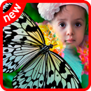 Butterfly Photo Template APK
