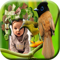 Birds Photo Frame
