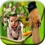 Birds Photo Frame