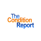 The Condition Report icon