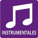 Instrumentales FM. APK