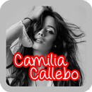 Camilia Cabello-Consequences Songtune APK