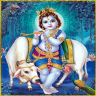 Krishna HD Wallpaper 2017 icono