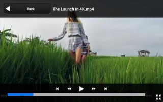 Real Player Any Video Download capture d'écran 2