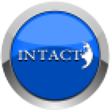Intact icône