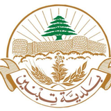 بلدية تبنين ícone