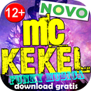 MC KEKEL palco mp3 bigodar mix APK
