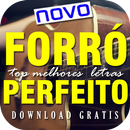 APK Forró Perfeito 2018 samara sua musica letras